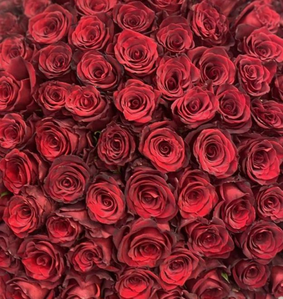 Букет из 125 роз
